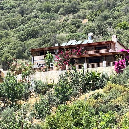 Istlada Tas Ev Apart - Kekova View Kapakli Екстер'єр фото